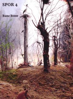Rune Bosse