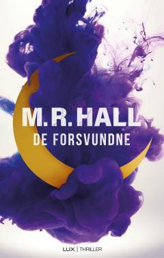 De forsvundne : krimi