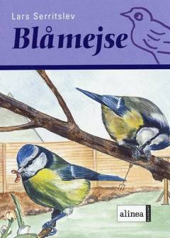 Blåmejse
