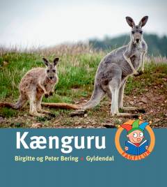 Kænguru