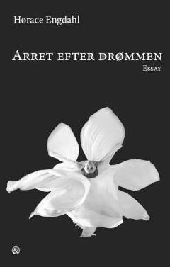 Arret efter drømmen : essay