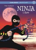 Ninja i fare