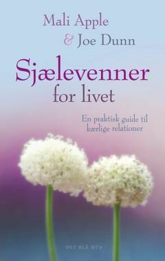 Sjælevenner for livet : en praktisk guide til kærlige relationer
