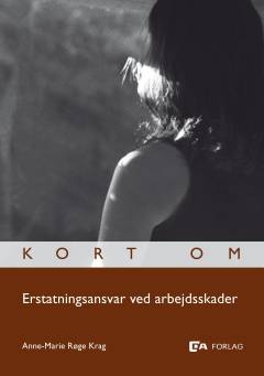 Kort om erstatningsansvar ved arbejdsskader