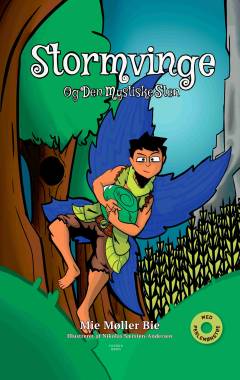 Stormvinge og den mystiske sten
