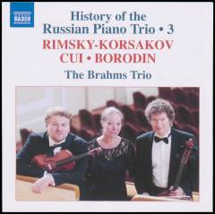 History of the Russian piano trio, 3