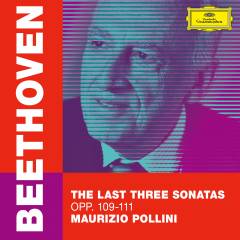 The last three sonatas : opp. 109-111