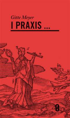 I praxis - : aktualisering af en tabt dimension