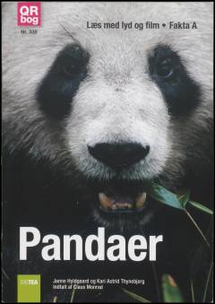 Pandaer