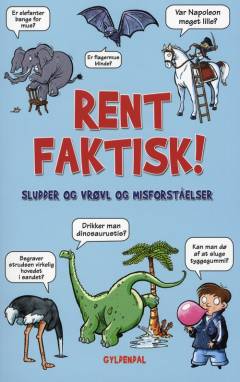 Rent faktisk : sludder og vrøvl og misforståelser