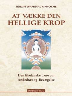 At vække den hellige krop : den tibetanske lære om åndedræt og bevægelse: Tibetansk yoga