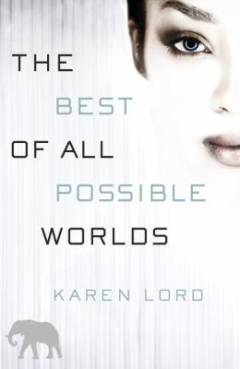 The best of all possible worlds : a novel