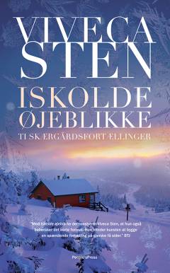 Iskolde øjeblikke : ti skærgårdsfortællinger