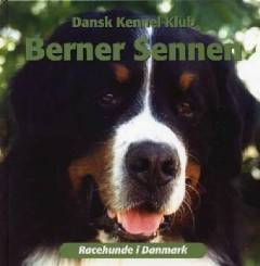 Berner sennen