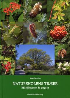 Naturskolens træer : billedbog for de yngste