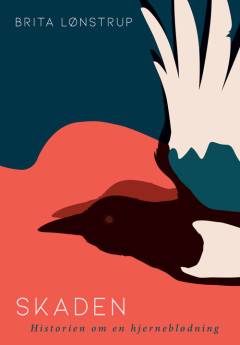 Skaden : historien om en hjerneblødning