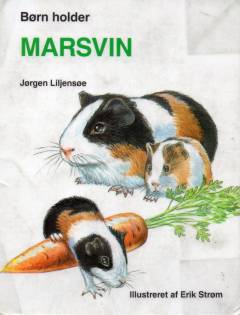 Børn holder marsvin