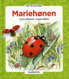 Mariehønen