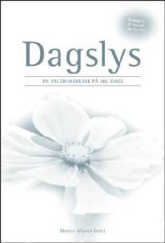 Dagslys : en pilgrimsrejse på 365 dage