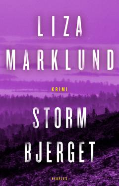 Stormbjerget : kriminalroman