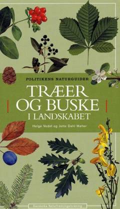 Træer og buske i landskabet