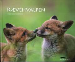 Rævehvalpen