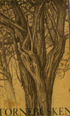 Tornebusken