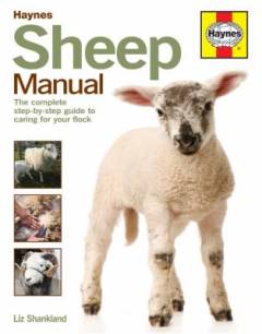 Sheep manual : the step-by-step guide to caring for your first flock