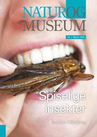 Spiselige insekter