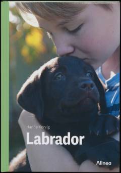Labrador