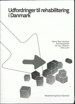 Udfordringer til rehabilitering i Danmark