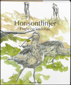 Horisontlinjer : fugle og vadehav