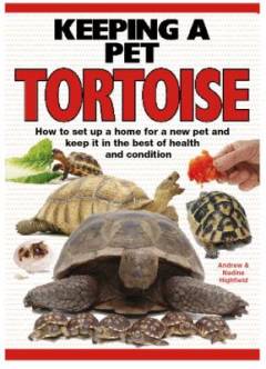 Keeping a pet tortoise : how to set up for a new tortoise and keep it in the best of health and condition