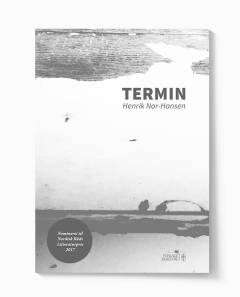 Termin : en fremstilling af vold i Norge