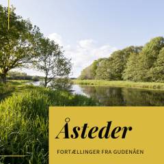 Vejerslev Skov : Jyllands ældste kongegrav