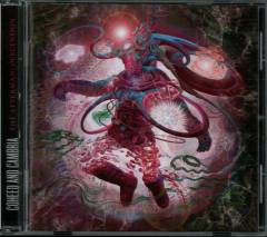 The afterman : Descension