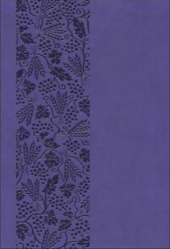 Bibelen på hverdagsdansk