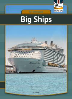 Big ships