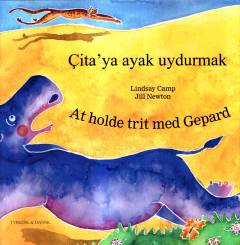 Çita'ya ayak uydurmak