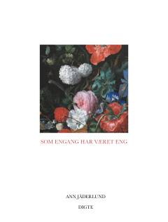 Som engang har været eng