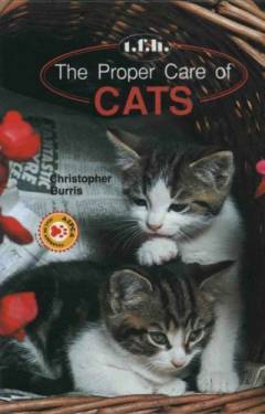 The proper care of cats