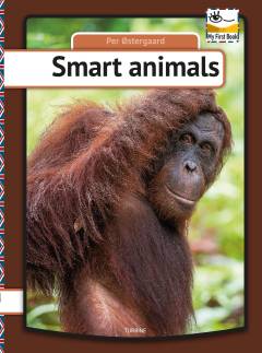 Smart animals