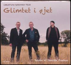 Glimtet i øjet