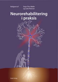 Neurorehabilitering i praksis