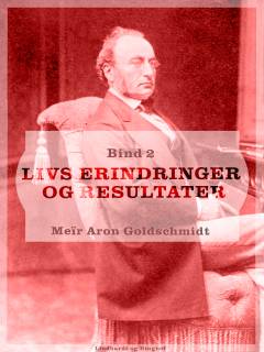 Livs erindringer og resultater. Bind 2