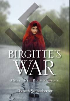 Birgitteś war : a novel of the danish resistance