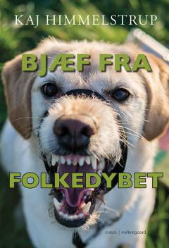 Bjæf fra folkedybet