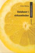 Databaser i virksomheden