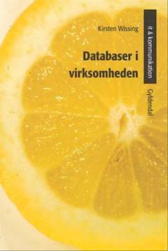 Databaser i virksomheden