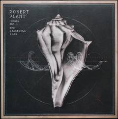 Lullaby and - the ceaseless roar